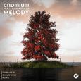 Melody (Thimlife & Calum Ayse Remix)