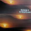 Bobby Birdman - The Something Inside