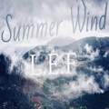 Summer Wind