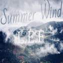 Summer Wind专辑