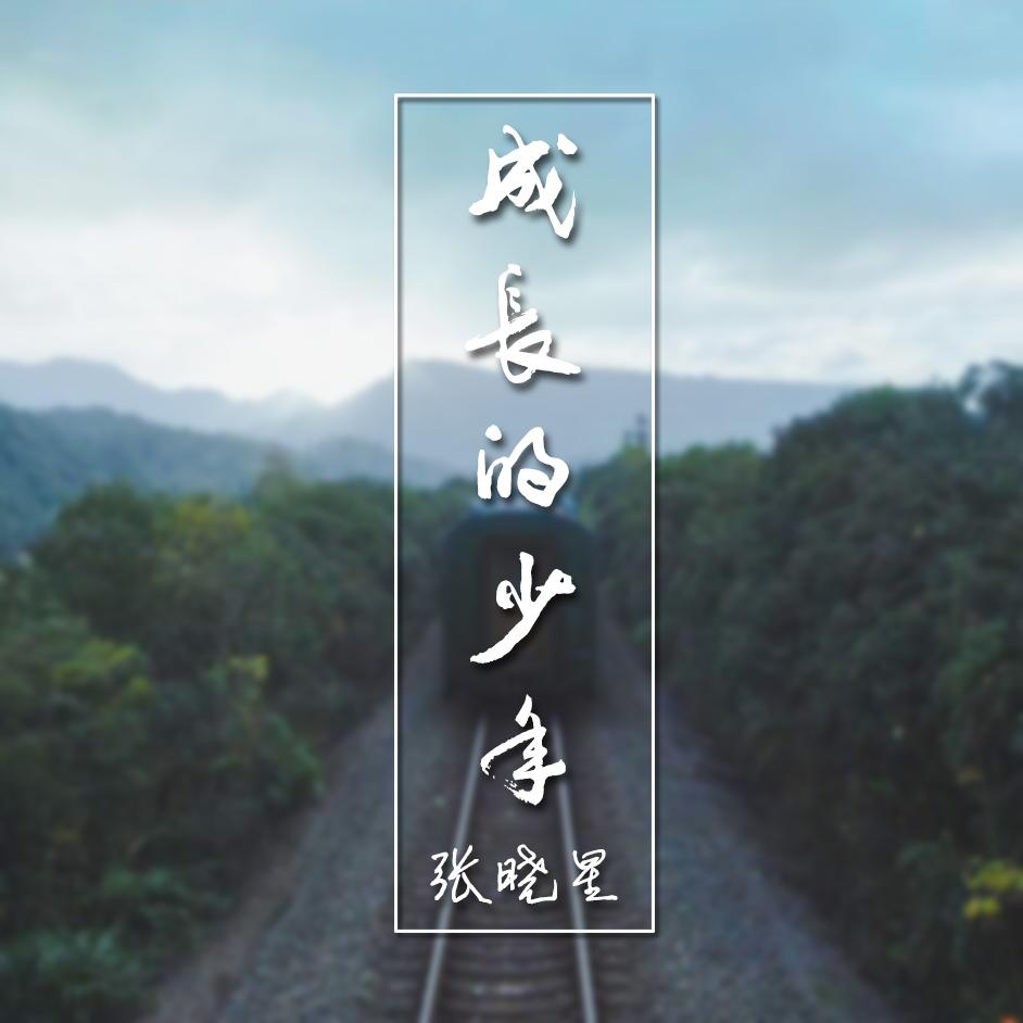 成长的少年
