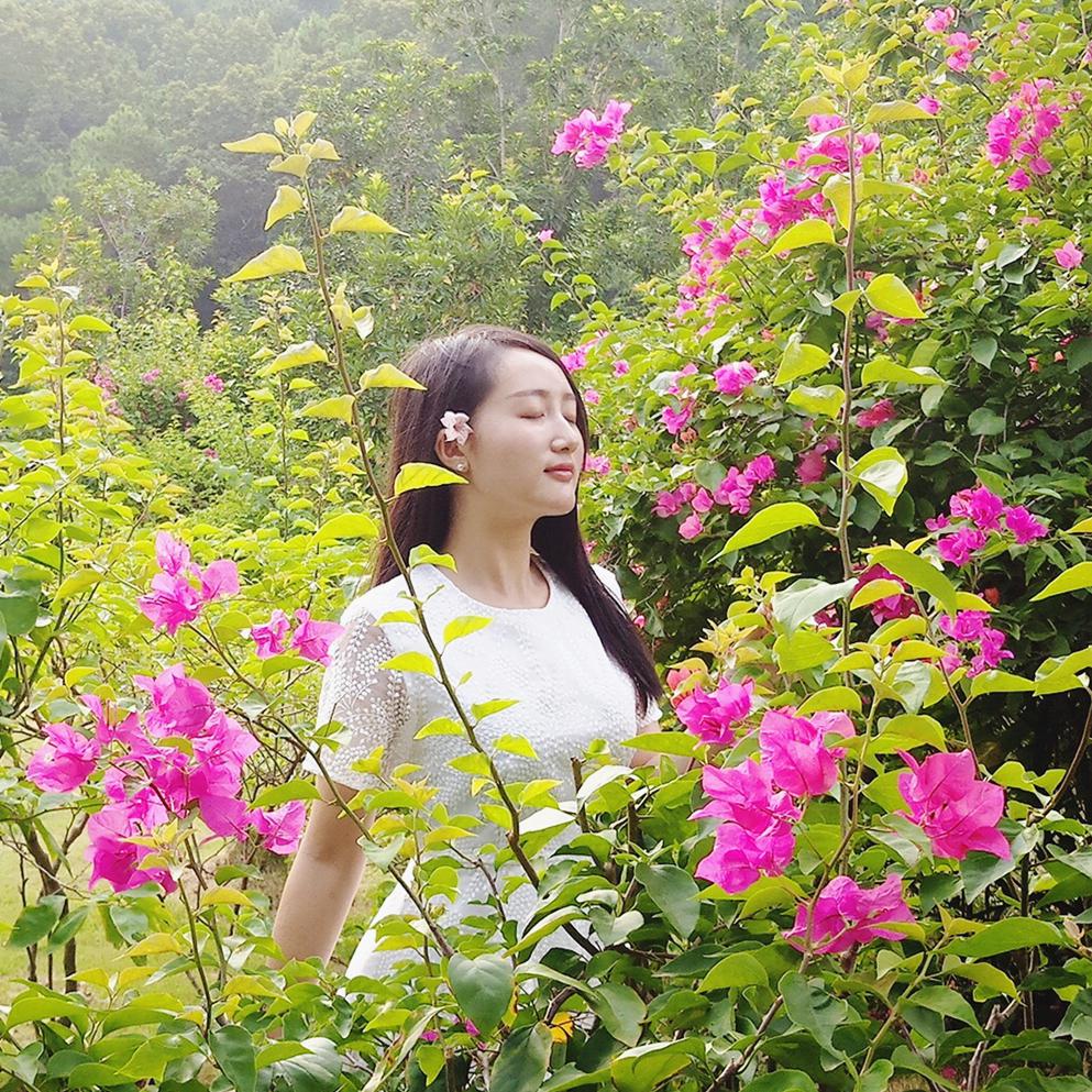 凤凰花开的路口专辑