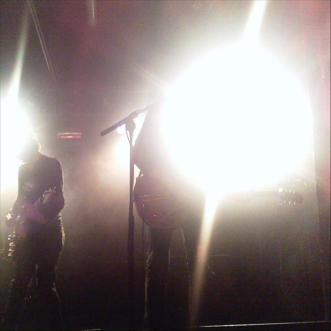Snowblind