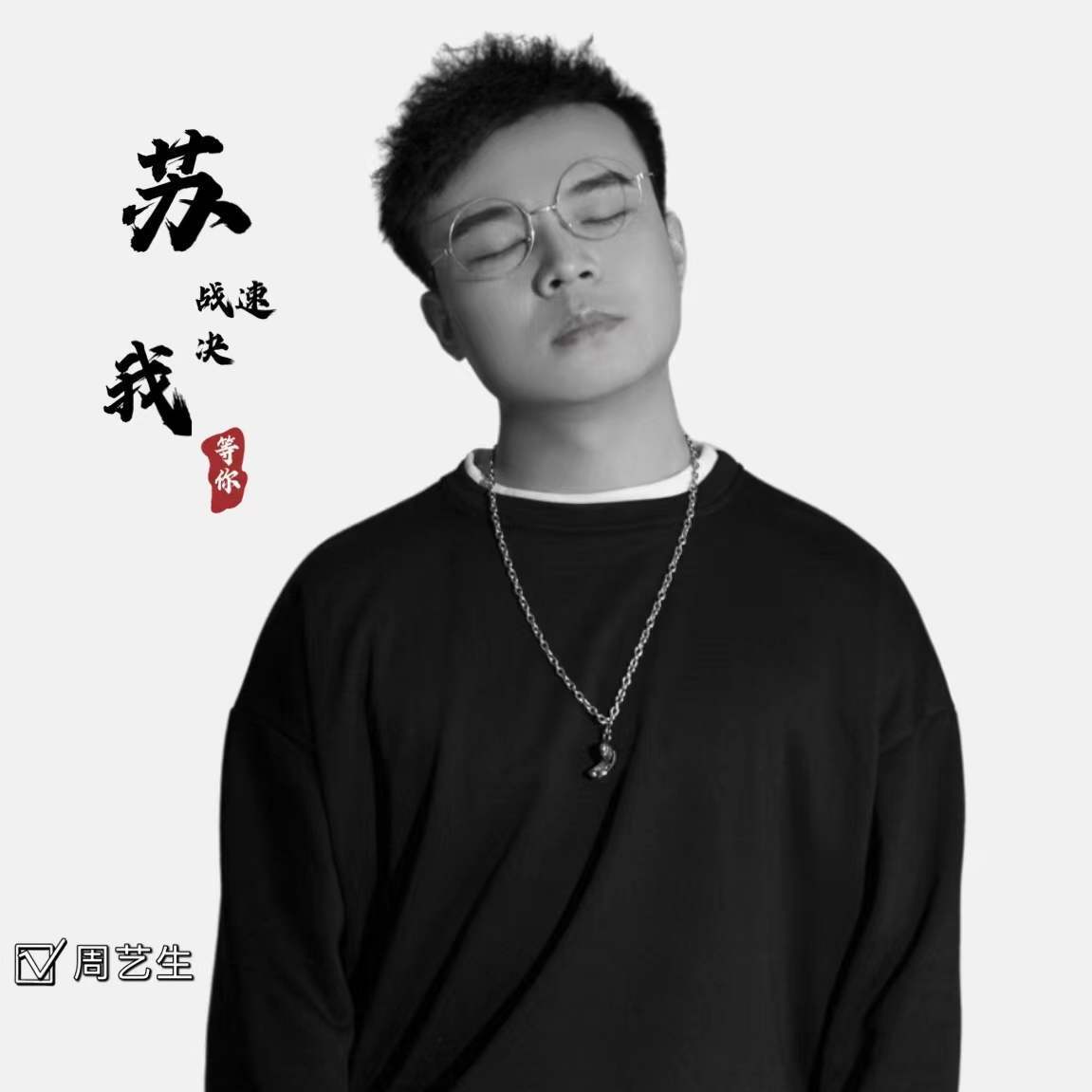 苏战速决我等你
