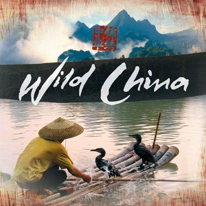Wild China Theme （升2半音）