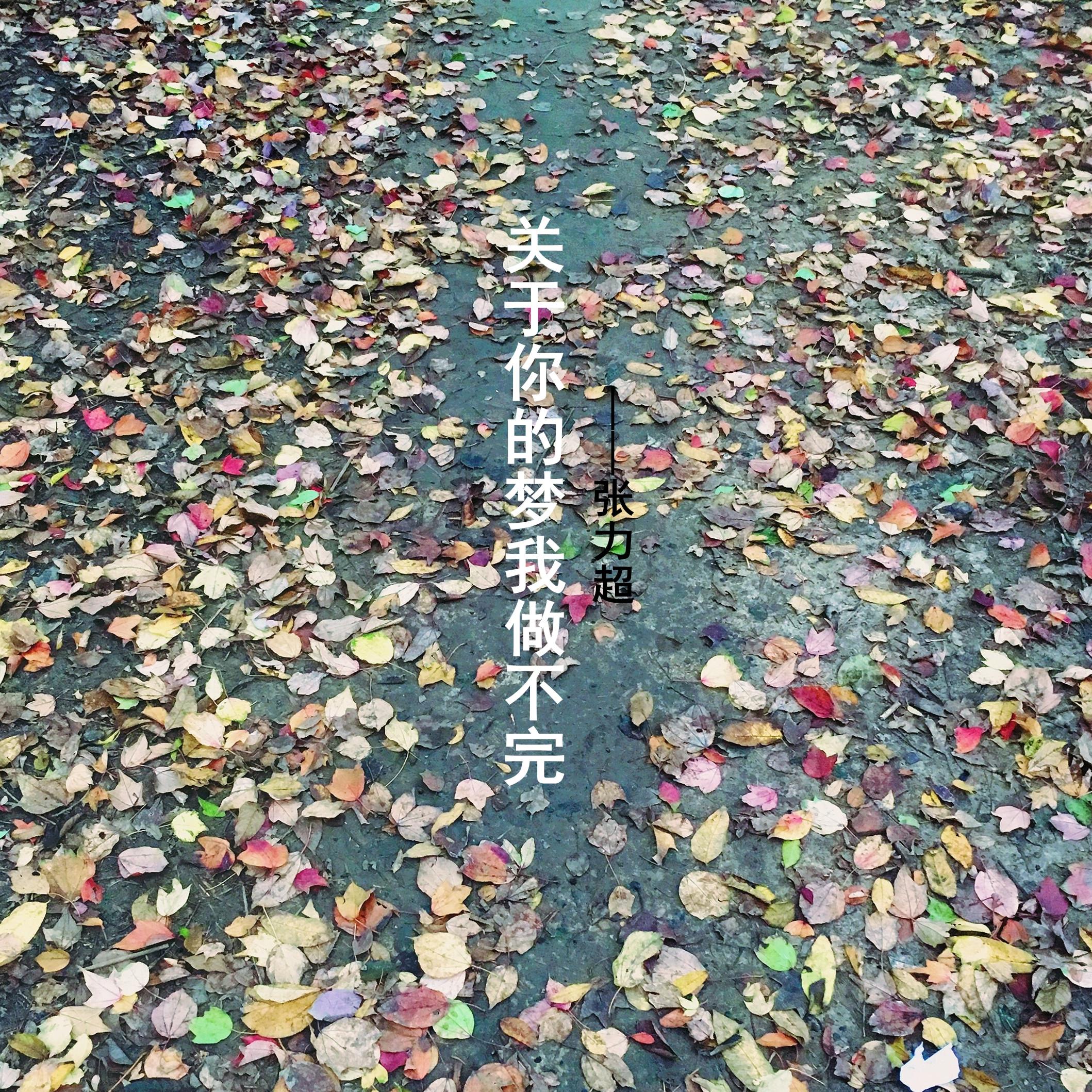 关于你的梦我做不完