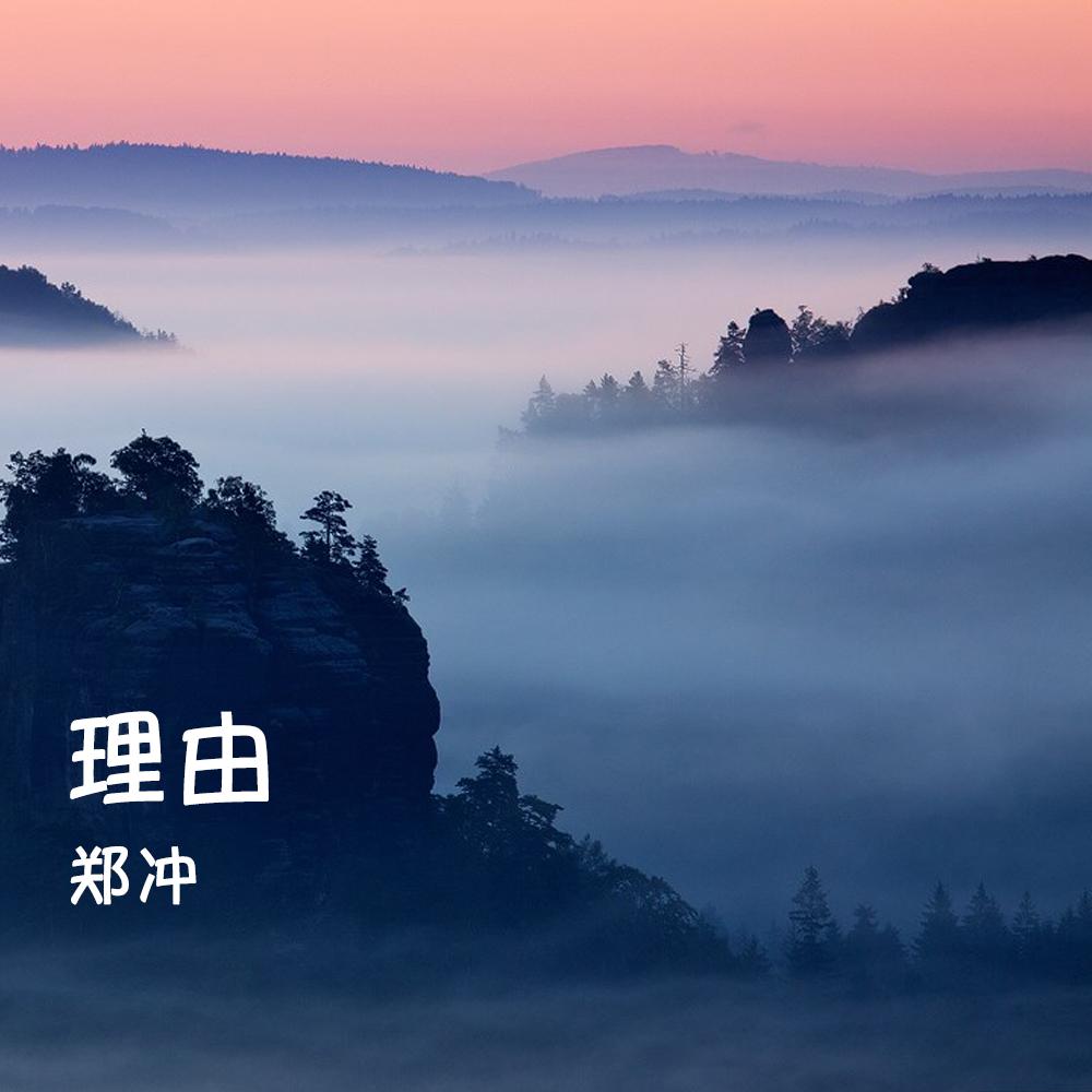 理由