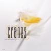 Cranes - Focus Breathe (John Peel Session 9th July 1989)
