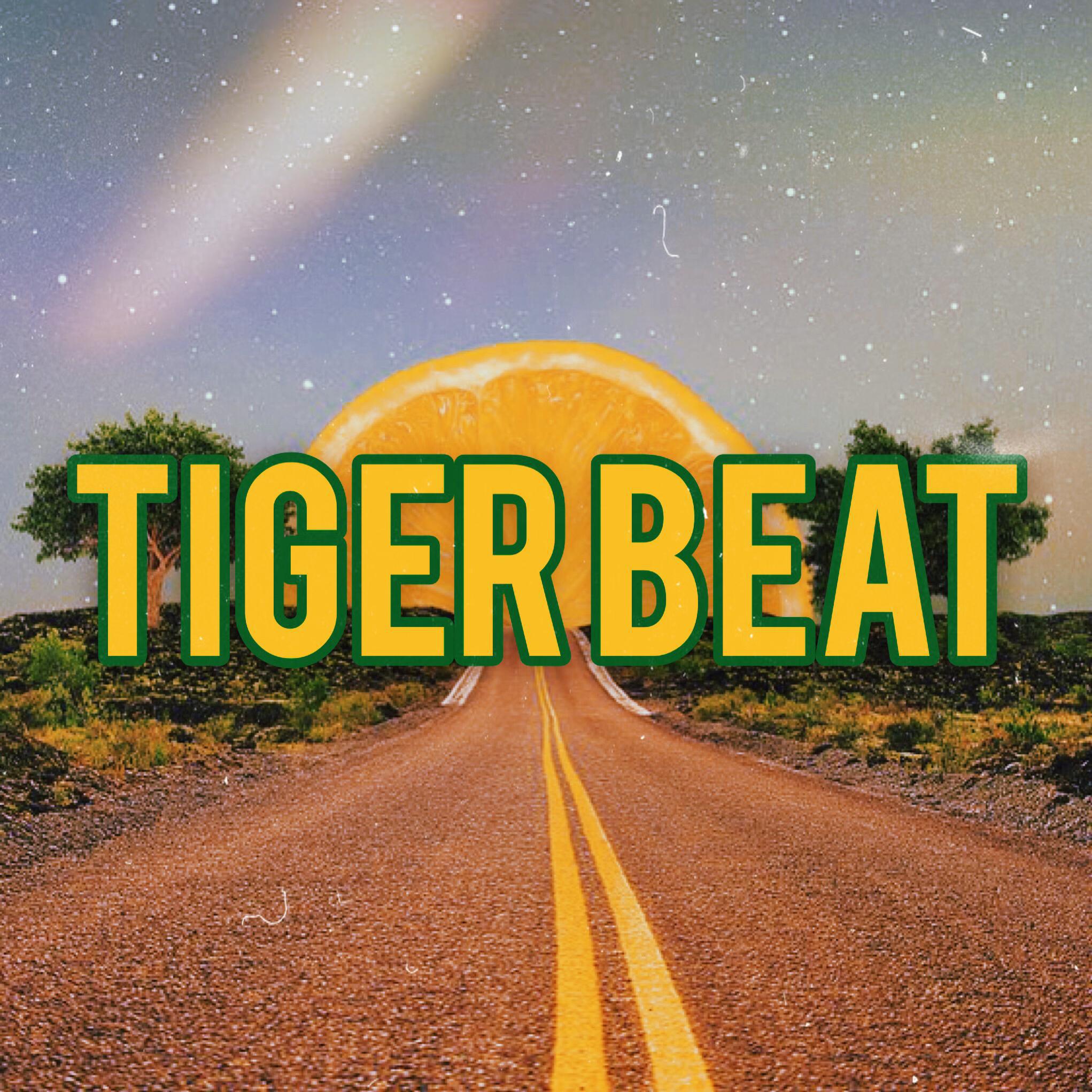 TIGER BEAT专辑