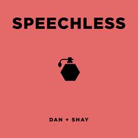 Speechless - Dan + Shay (TKS karaoke) 带和声伴奏