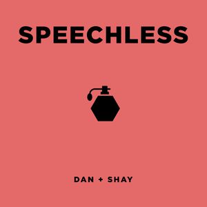 Speechless - Dan + Shay (TKS karaoke) 带和声伴奏 （降6半音）