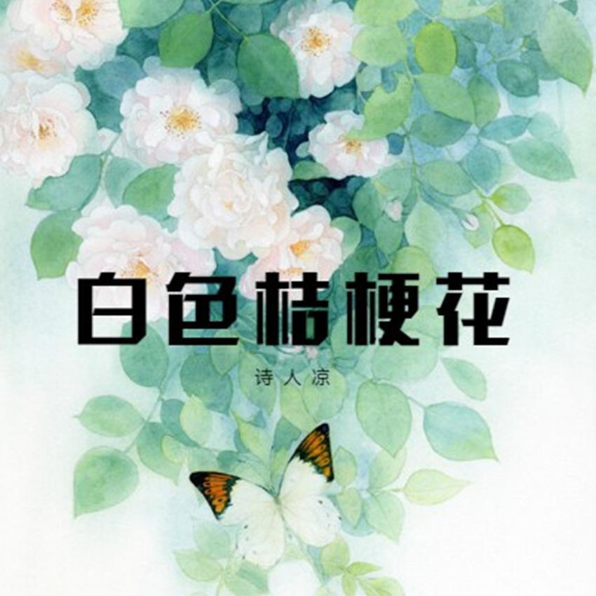 白色桔梗花（翻自 诗人凉）