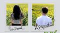 머리카락을 세어봤어专辑