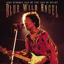 Blue Wild Angel: Jimi Hendrix At The Isle Of Wight专辑