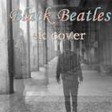Black Beatles (ek cover)专辑