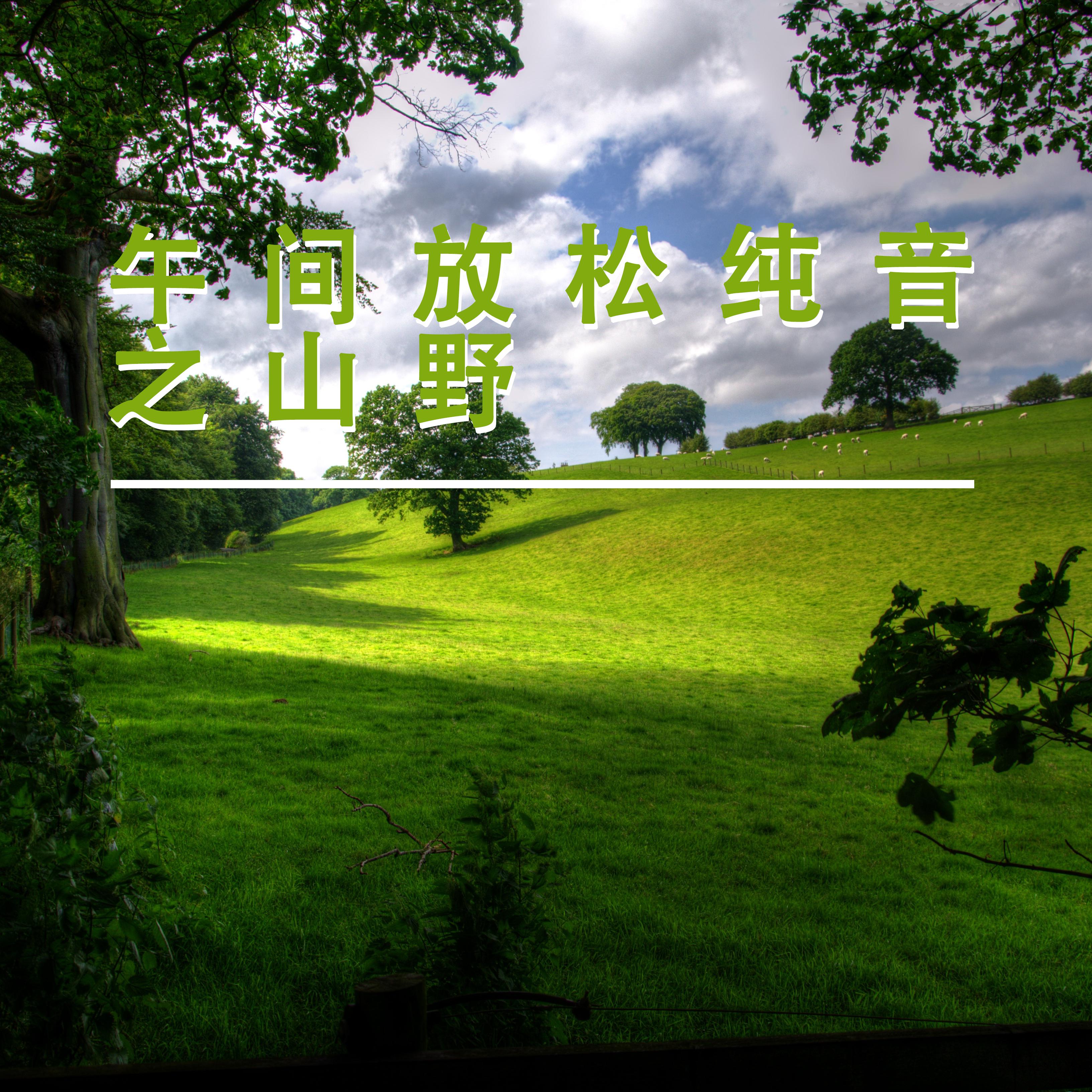 夏小桃歌曲封面
