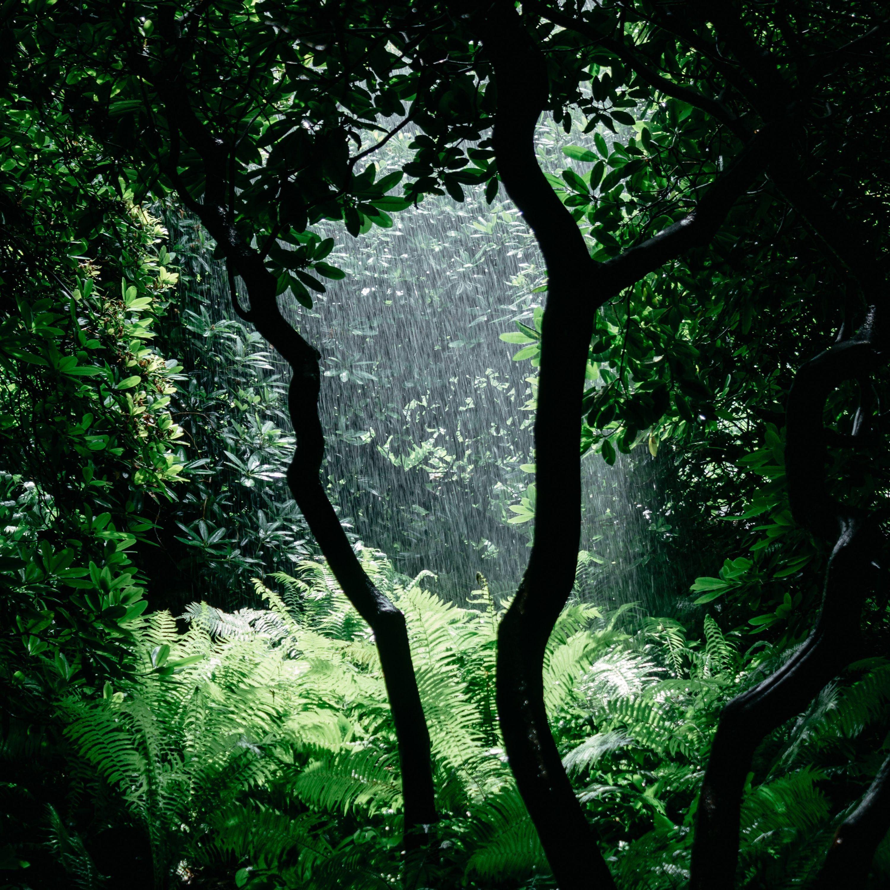 Essential Relaxation Music Classics
