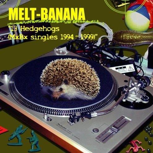 Hedgehog