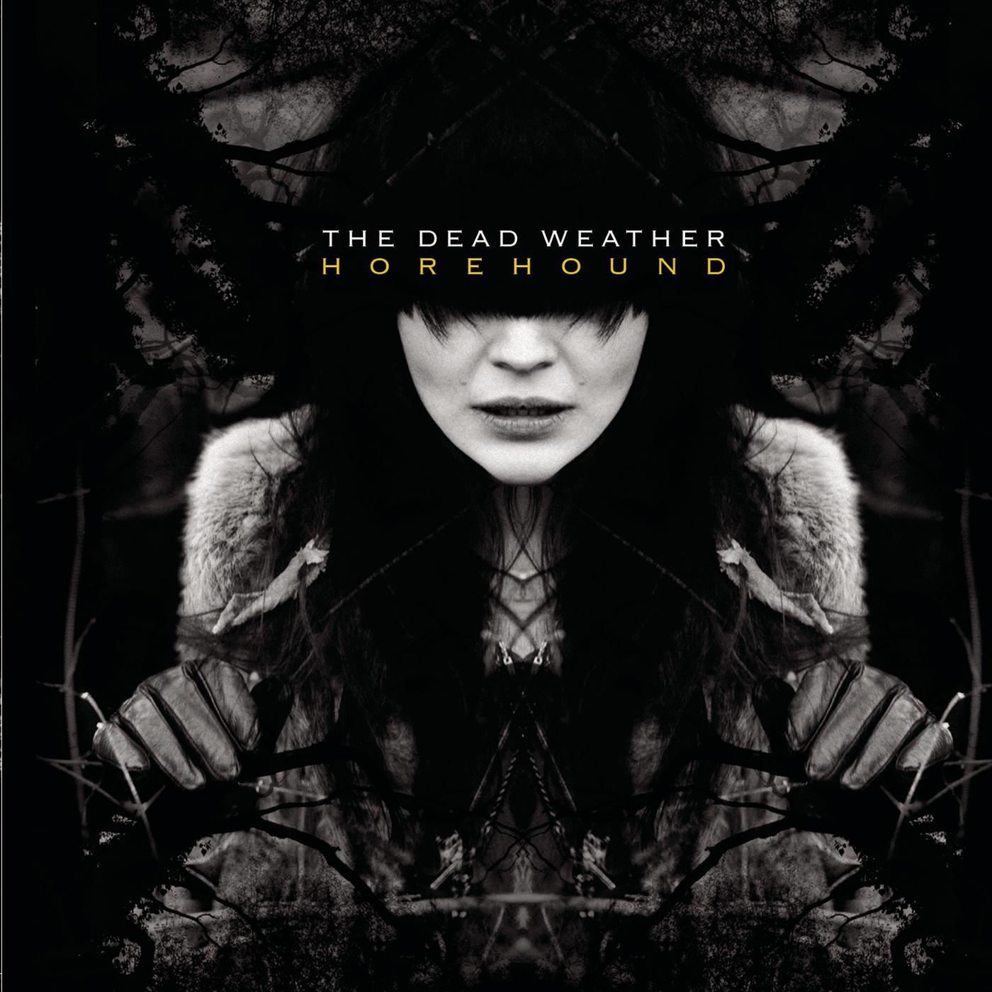 The Dead Weather - Will There Be Enough Water?