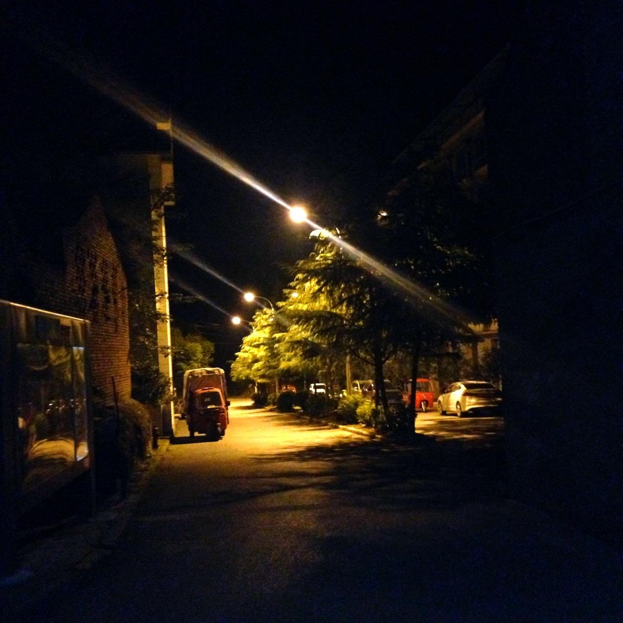 木 杉