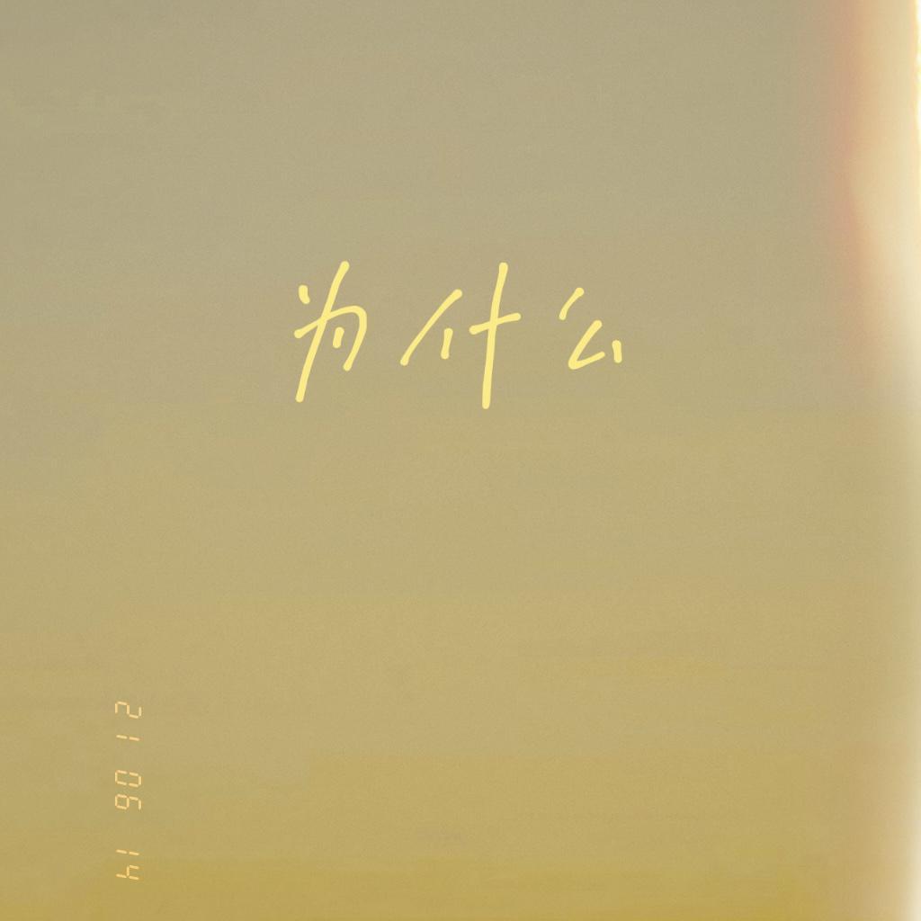 为什么 - 小花封面