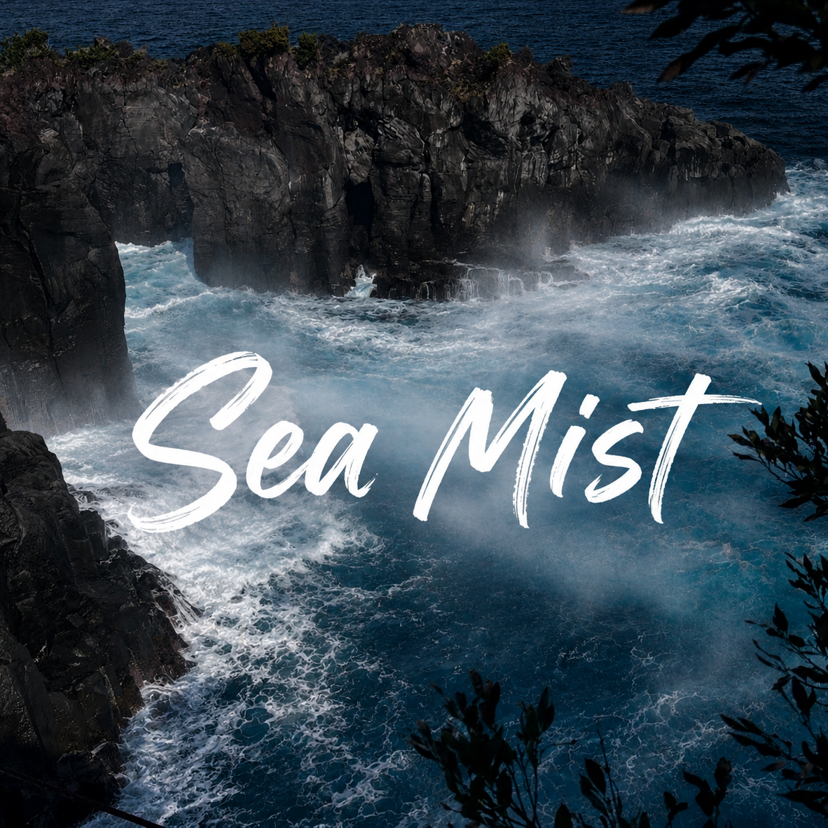 Sea Mist