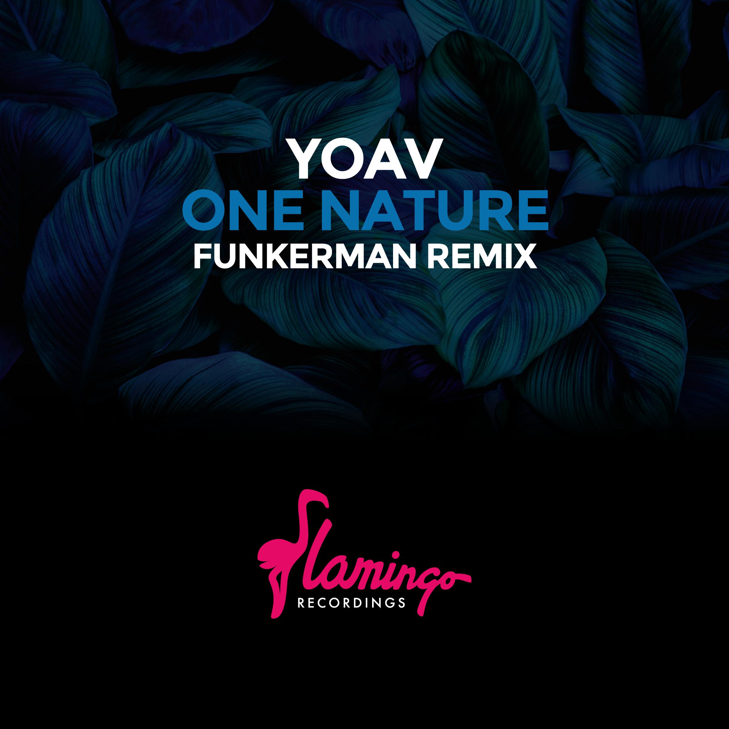 One Nature (Funkerman Remix)