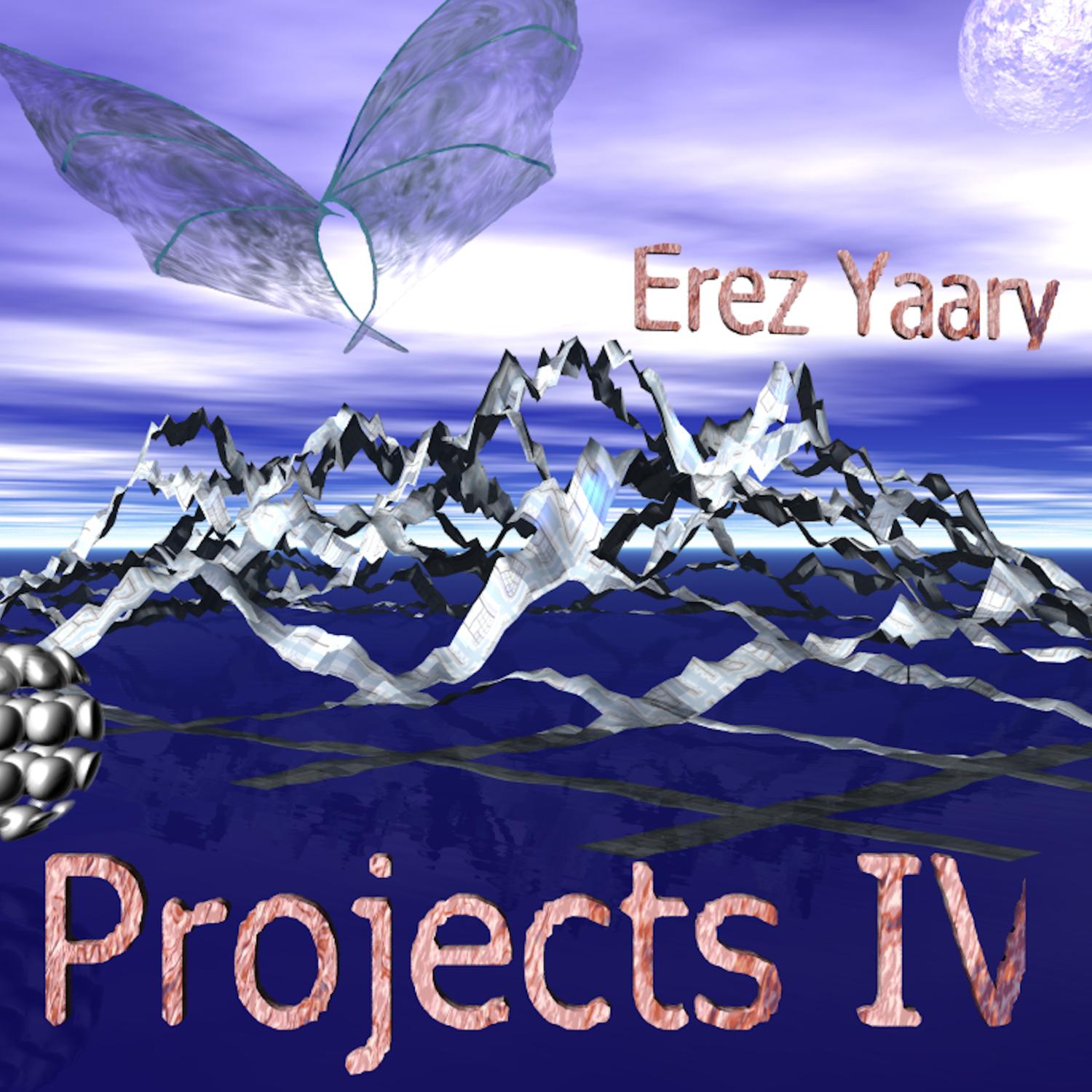 Projects IV