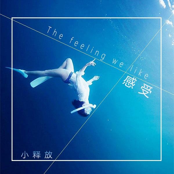 感受 (The feeling we like)