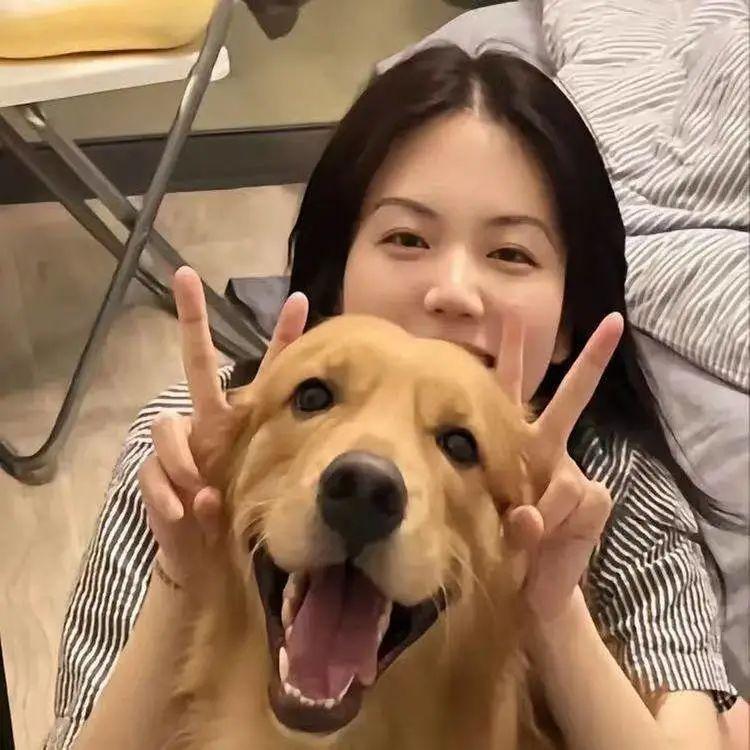 写在风中的信