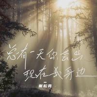 总有一天你会出现在我身边（前任4）