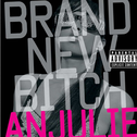 Brand New Bitch专辑