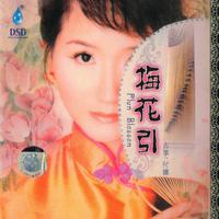 情长路更长 (zypdeziwoLD大碟自提压制)
