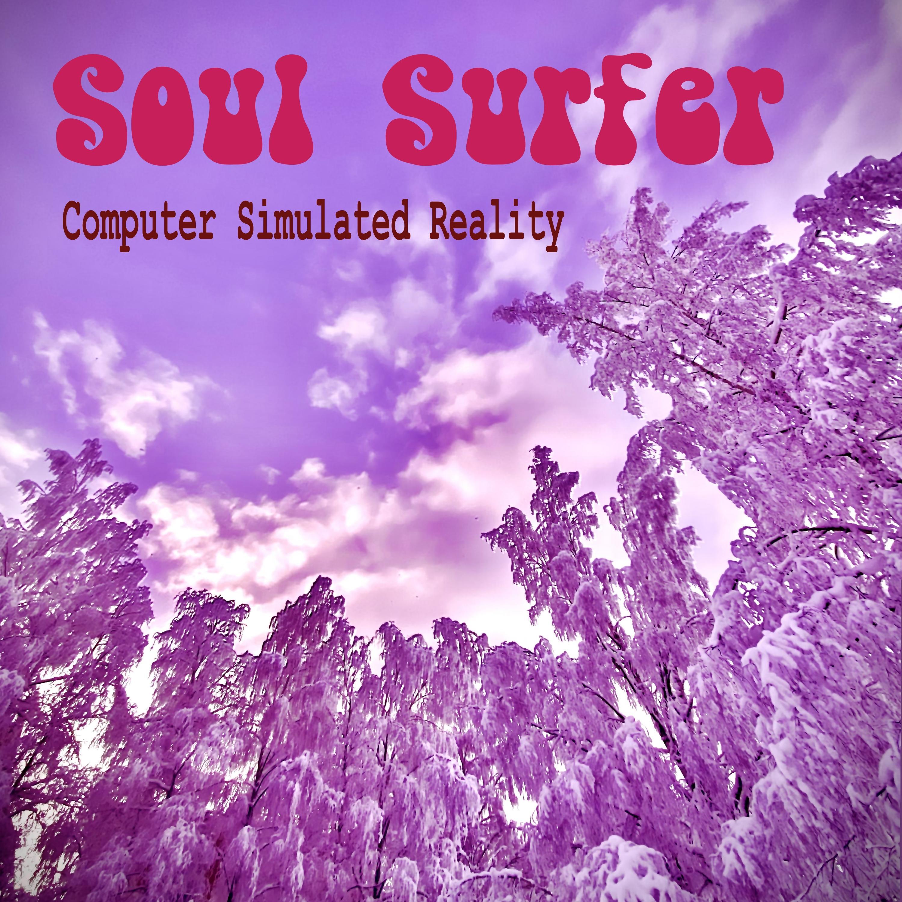 Computer Simulated Reality