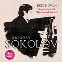 Beethoven: Piano Sonata No. 29 in B-Flat Major, Op. 106 Hammerklavier专辑