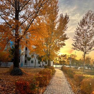 我会找到逆转时间的公式