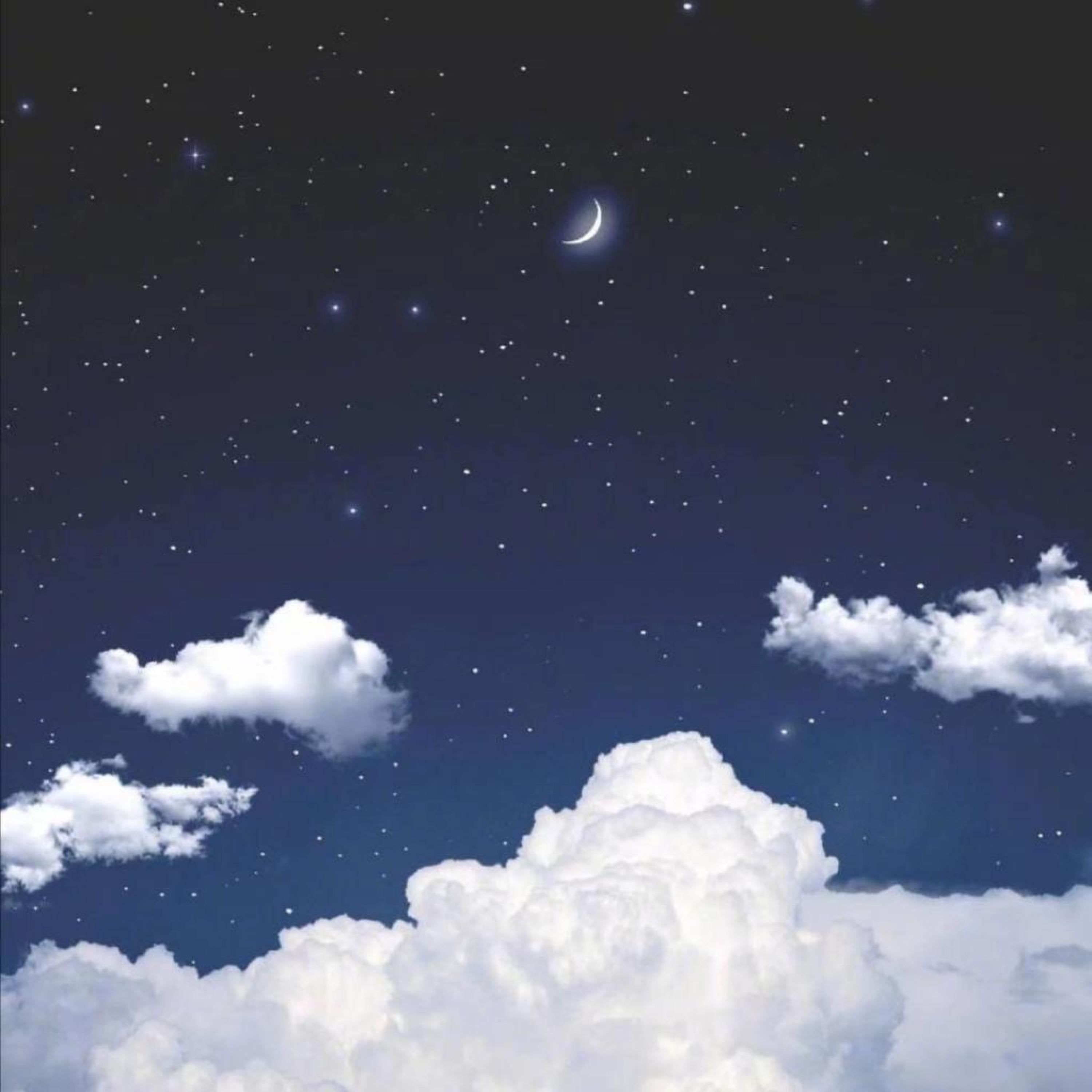 所念皆星河
