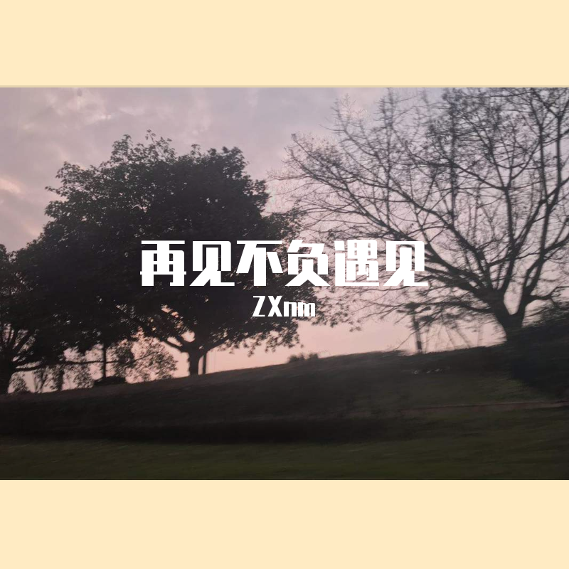 再见不负遇见 （psycho Remix)