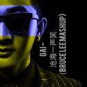 中国风电子舞曲 Bruce Lee Mashup专辑