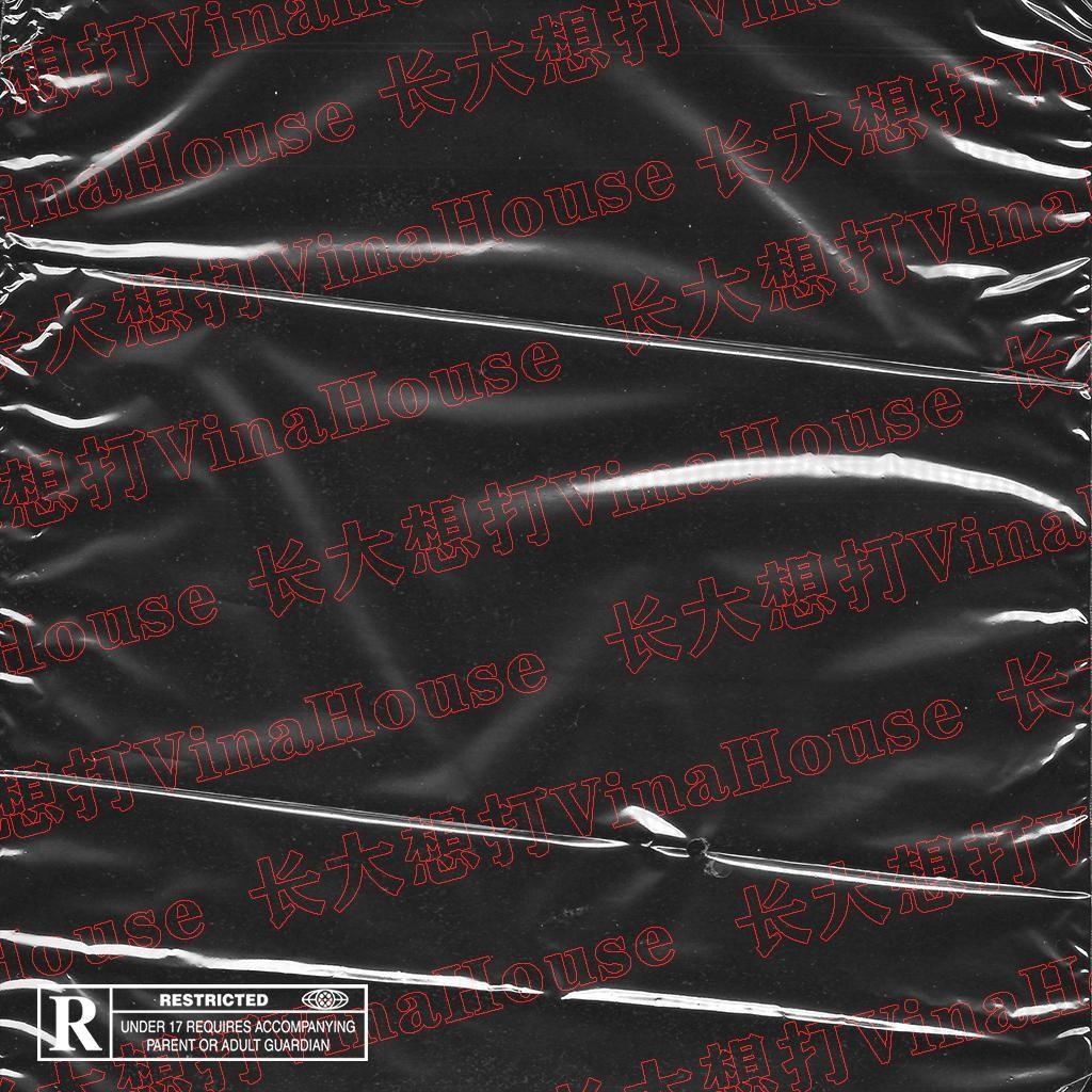 长大想打Vina House