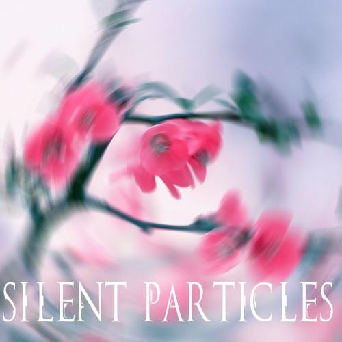 Silent Particles专辑