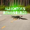 Tenzin Wood - Alligators (Remastered)