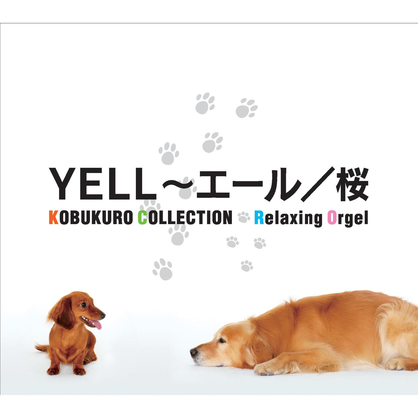 α波オルゴール～YELL～エール・桜／コブクロ・コレクション