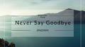 Never Say Goodbye专辑