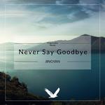 Never Say Goodbye专辑