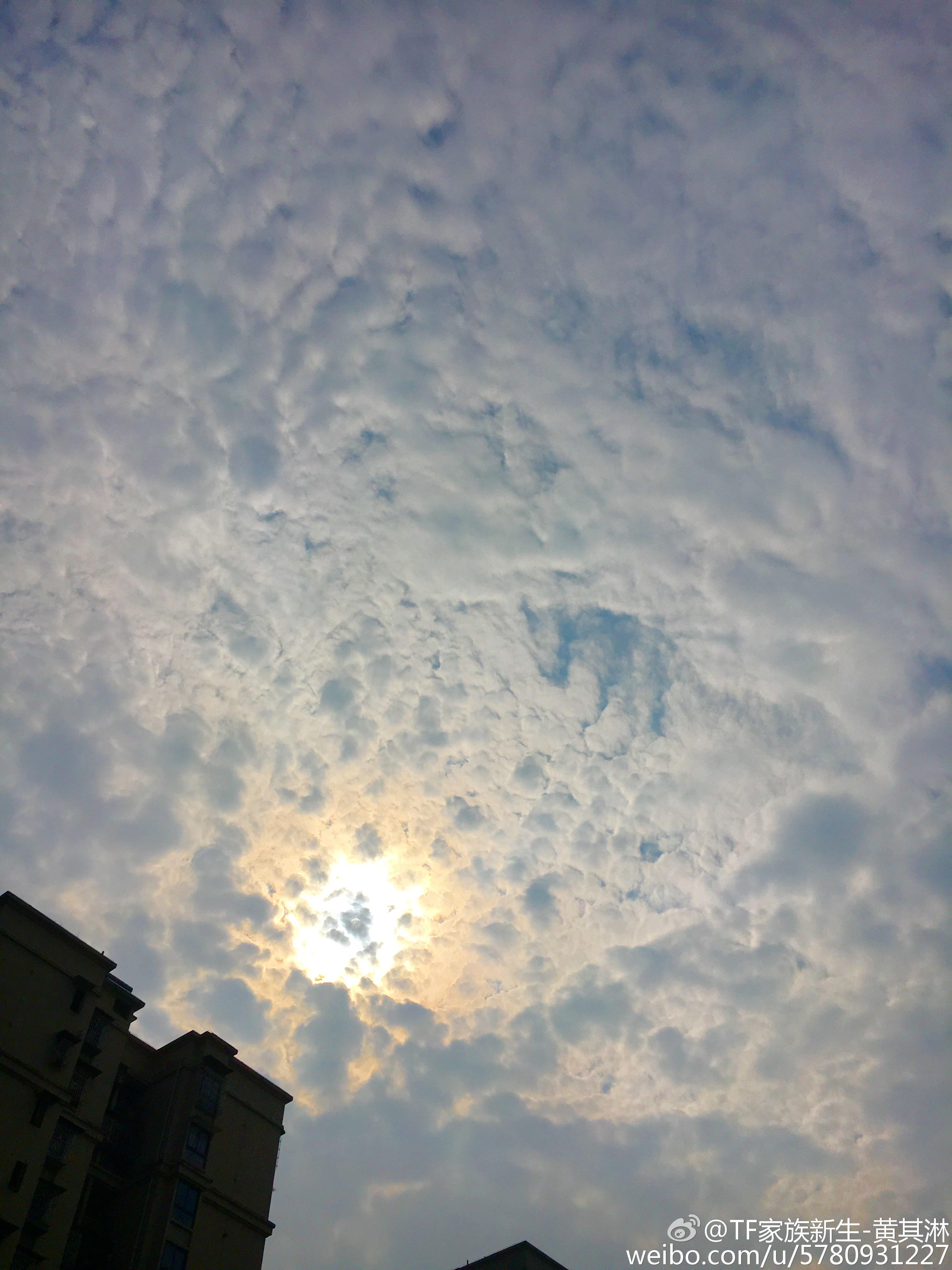 因为爱情「黄其淋（林墨）」