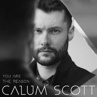 Calum Scott - You Are the Reason (Z karaoke) 带和声伴奏