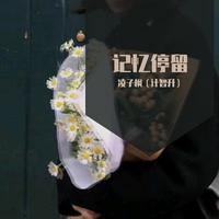 留心语—枫桥(原唱版)歌曲