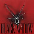 BLACK WIDOW