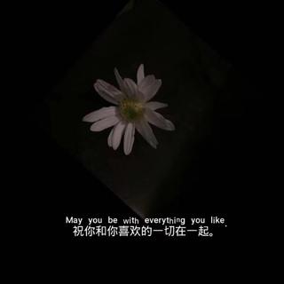 漂泊幻象中的灵魂